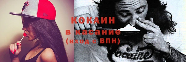 бошки Аркадак