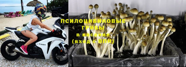 герыч Арсеньев